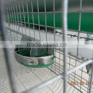 Automatic Rabbit Feeding System thumbnail-1