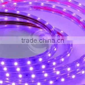 220v Led Strip Smd 5050 2835 3014 Strip Led Light Best Price Led Strip Light thumbnail-2