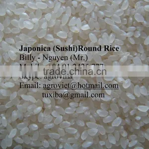 JAPONICA/ SUSHI RICE - Whatsapp 0084912425777 thumbnail-1