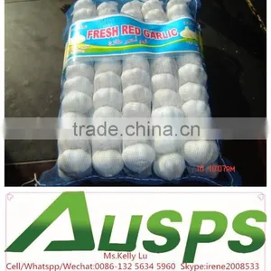 Garlic Price in China thumbnail-2