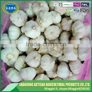 Fresh Purple Garlic,normal White Garlic thumbnail-1