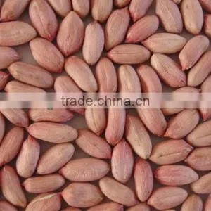 Chinese Peanut Kernels ,Shandong Origin thumbnail-1