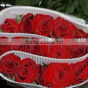 High Grade Fresh Cut Flower Wholesale Black Magic 002 Rose thumbnail-6