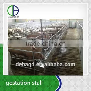 Pig Gestation Stall Good Quality For Pig Stall thumbnail-3