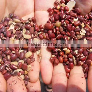 Soybean Mung Bean Cleaning Polishing Machine thumbnail-4