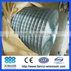 50x50mm Opening Galvanized Welded Wire Mesh thumbnail-1