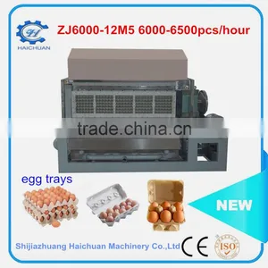 Disposable Egg Tray Plate Production Line Make by Leading Industry thumbnail-5