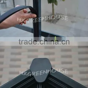 Robinsons Regal Safety Toughened Glass Greenhouse Series thumbnail-5