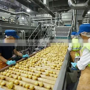 China Small Scale Industries Potato Chips Machine Snack Making Machine thumbnail-6