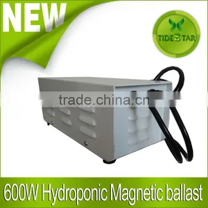 600W MAGNETIC BALLAST FOR HYDROPONICS Indoor Plant Growth thumbnail-1