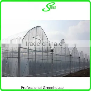 Easy Assemble Greenhouse for Tomatoes for Sale thumbnail-2