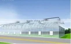 Multi-span Mushroom Tunnel Greenhouse thumbnail-1
