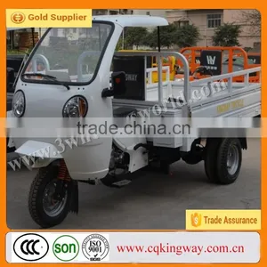 China New 250cc Three Wheel Mini Pedal Motorbikes for Sales thumbnail-1