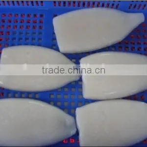 Pacific Squid Tube thumbnail-1