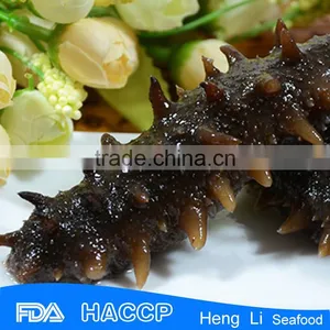 China Supplier Food Salted Sea Cucumber thumbnail-3
