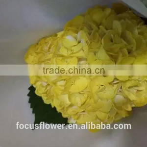 Artificial Yellow Hydrangea Flower Ball For Sale thumbnail-1