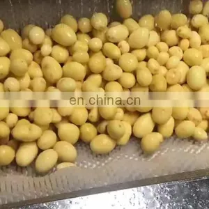 Potato Ginger Fruit Roller Washer Cleaner/Water Bubble Vegetable Washing Machine thumbnail-1