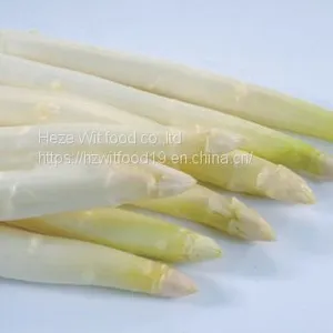 IQF White Asparagus Spears L Grade Washing ,peeled ,blanching thumbnail-1