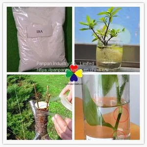 Plant Growth Regulator Indole-3-butyric Acid ( IBA ) 98%TC Powder thumbnail-3