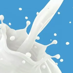 Milk Processing Plant Manufacture Price Powder Milk Processing Line/ Powder Milk Production thumbnail-3