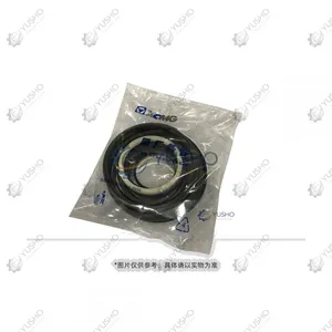 Repair Kit 860128561 for XCMG Excavator Genuine OEM thumbnail-1