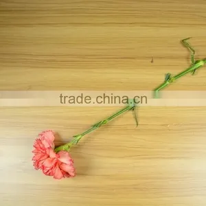 Popular Flame Orange Natural Cut Carnation Flowers thumbnail-3