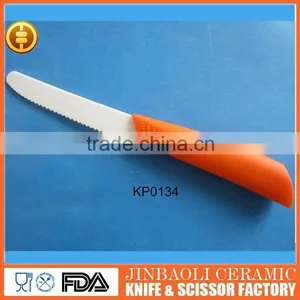 Beautiful Zirconium Oxide Steak Knife thumbnail-1