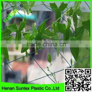 Wholesale Extruded Plastic Cucumber Climbing Net Made in China thumbnail-1