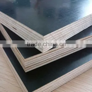 Timber Wood For Construction Building Material thumbnail-5