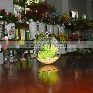 We Export Succulent Plants Geometric Glass Terrarium Wholeasle thumbnail-2