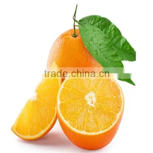 Artificial Orange thumbnail-1