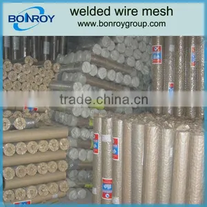 Galvanized and Pvc Coated Welded Wire Mesh thumbnail-1
