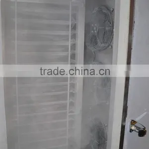 Sinlge Trolley-Blast Freezer for Food Processing thumbnail-3