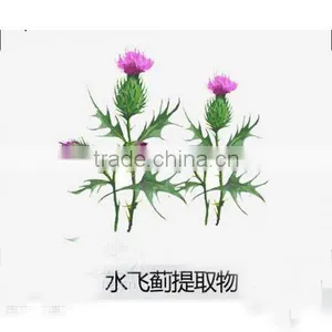 Water Soluble Organic 30%-98% Silymarin thumbnail-2