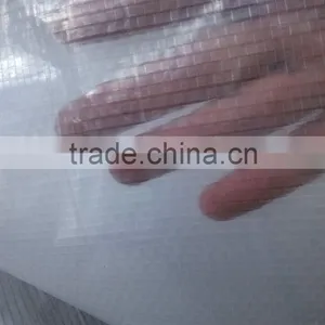 Clear Transparent pe Laminated Fabric Grape Tree Cover thumbnail-2