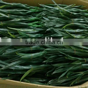 Artificial Plastic Plant thumbnail-1