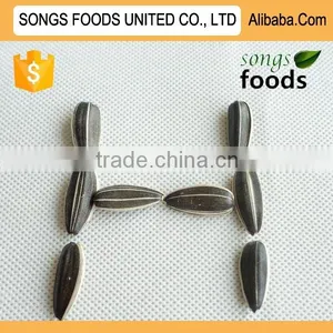 Export Of Agriculture Products thumbnail-1