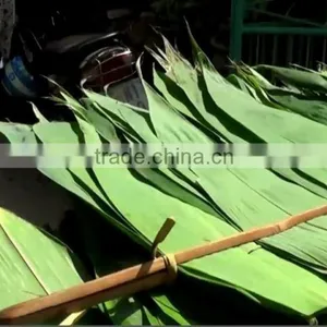 Bamboo Leaves thumbnail-3