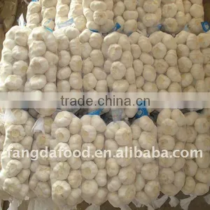 Pure and White Garlic Price in New Season thumbnail-1