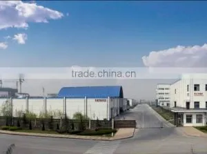Linyi Shansong Biological Products Co., Ltd. company overview - view 3 thumbnail