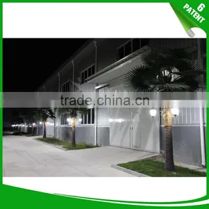 Royal Palm Highlighting Artificial Palm Trees thumbnail-1