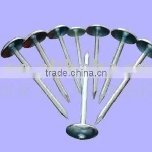 Roofing Nail 2014 Hot Sale !!! JOINT VENTURE Anping Wire Mesh Factory thumbnail-1