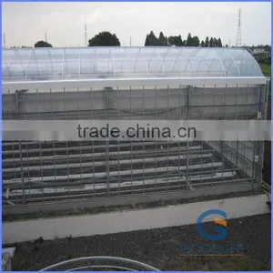 6mm Greenhouse Polycarbonate Sheet Price thumbnail-1