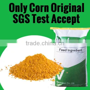 Corn Gluten Meal Feed 65 Protein For Poultry thumbnail-1