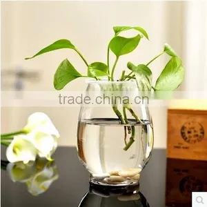 Dinosaur Egg Shaped Flower Glass Vase for Home Decoration Hydroponic Glass Terarium thumbnail-1