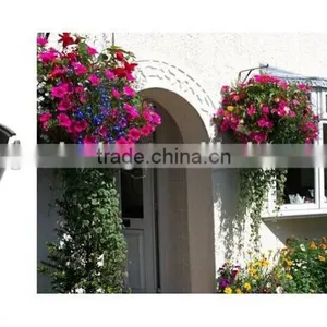 SOL 2015 New Design Plastic Hanging Baskets Pots Hanging Garden Hanging Planter thumbnail-3
