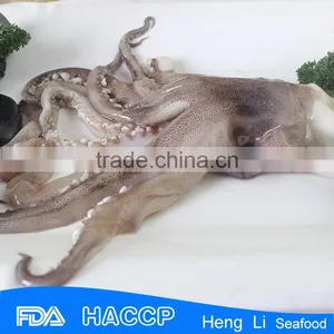 HL0088 Raw Frozen Tentacles in Cartons thumbnail-1
