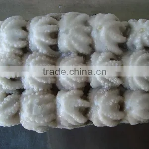 Baby Octopus/ Frozen Baby Octopus thumbnail-2