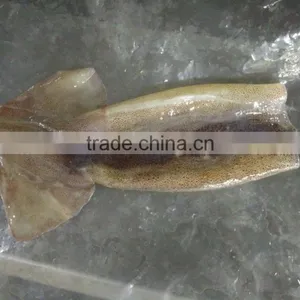 Frozen Illex Squid Tube thumbnail-2