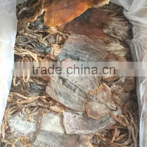 Dried North Korea Squid 3L thumbnail-2